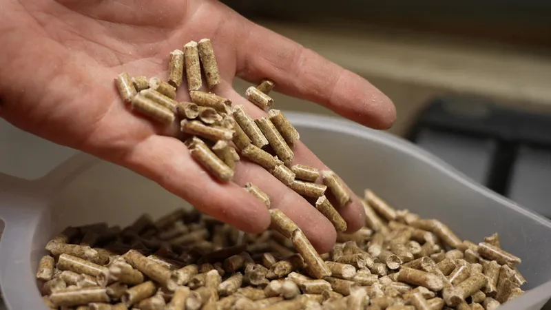 Article France 3 Régions