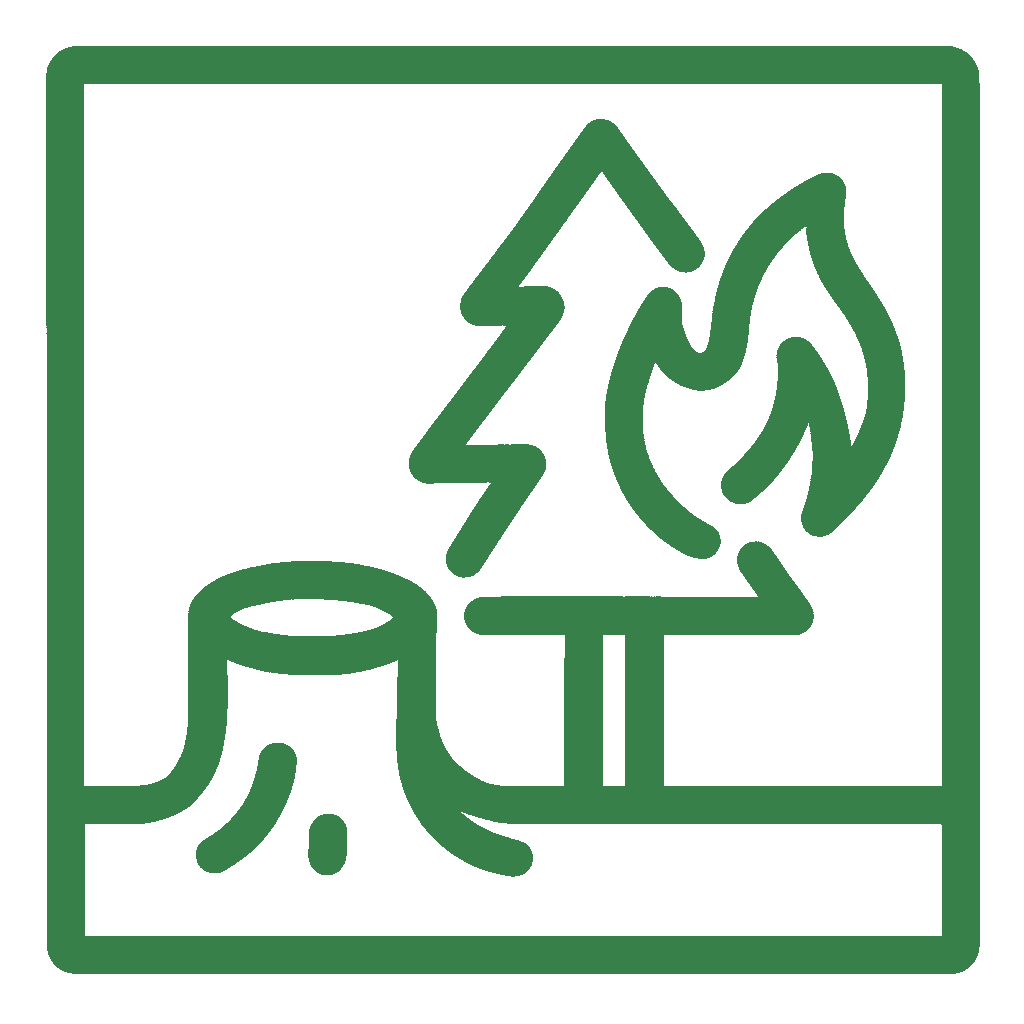 Destruction des écosystèmes