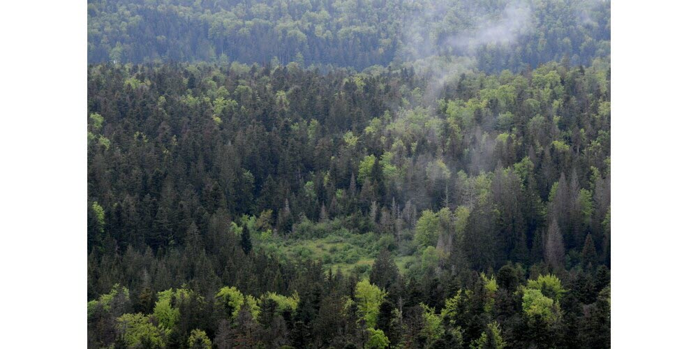 Article Le Progrès 2